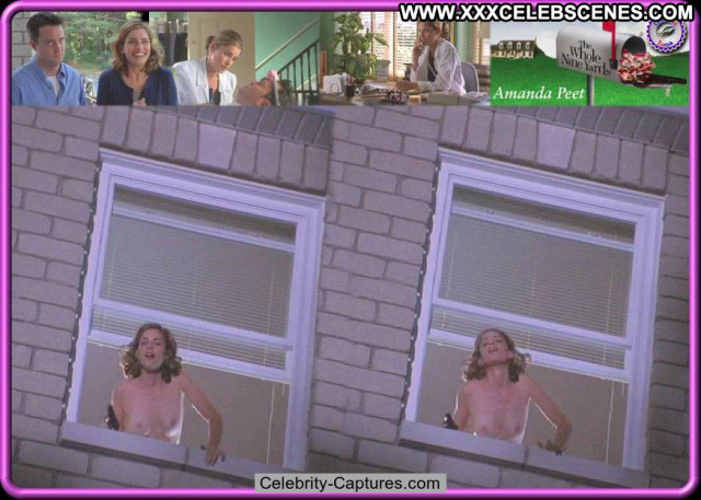 Amanda Peet The Whole Nine Yards  Beautiful Sex Scene Celebrity